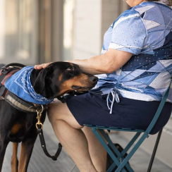 Laws Governing Service & Emotional Support Animals in the Workplace