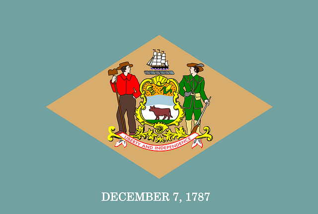 Image of the Delaware State Flag