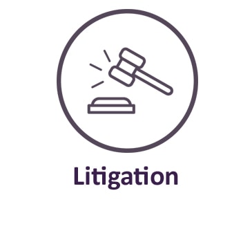 Litigation