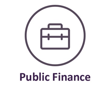Public Finance
